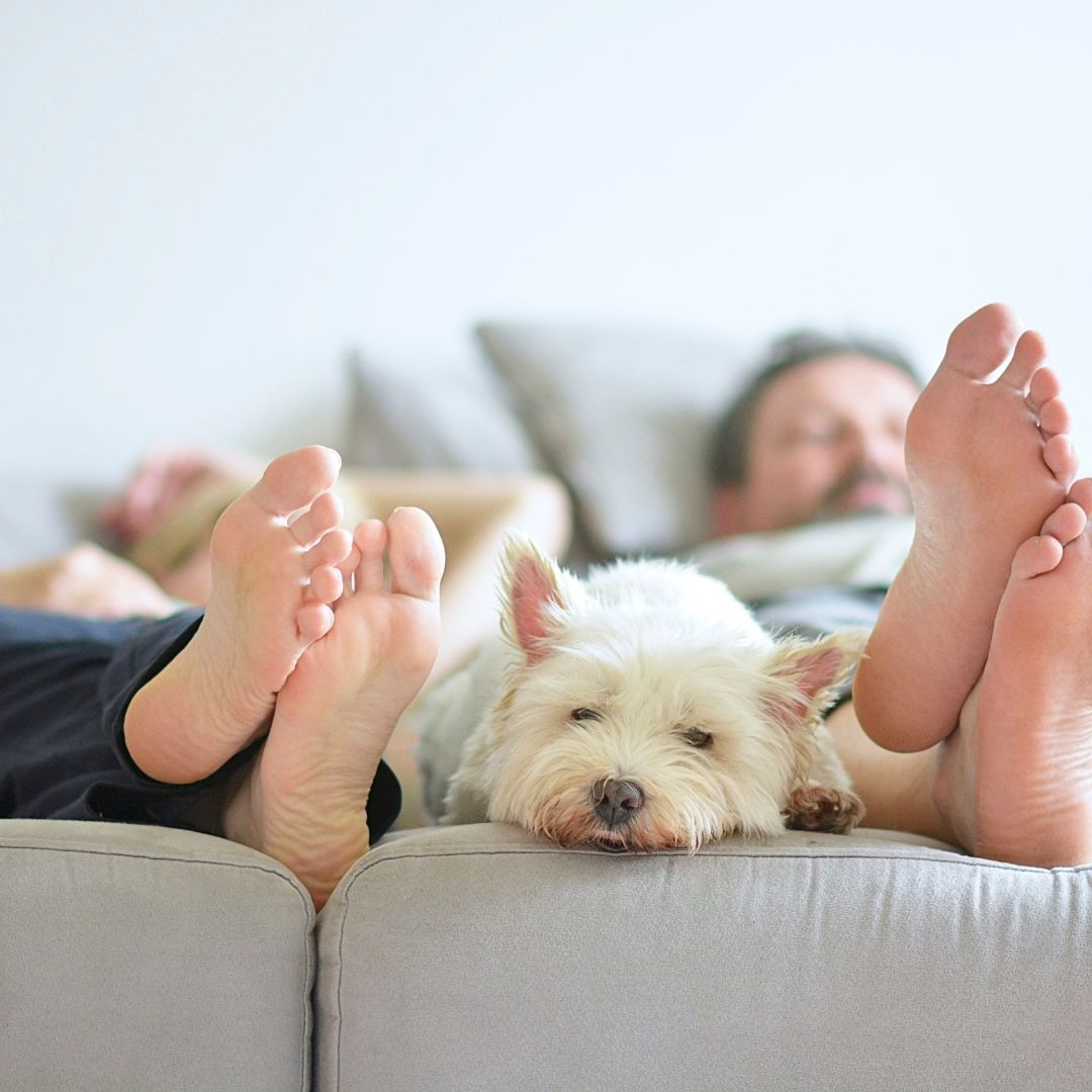 people lying down with a white dog at their feet